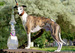 DSC07129.JPG
