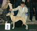 DSC07397.JPG