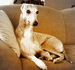 DSC08464.JPG