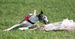 DSC08690.JPG