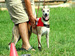 DSC08826.JPG