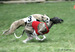 DSC08986.JPG