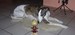 DSCN0535.JPG