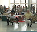 Snímek 035.jpg