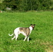 Snímek 048.jpg