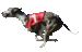 Untitled 1.gif