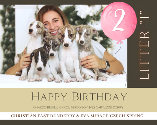 Beige Birthday Picture Collage Poster.png