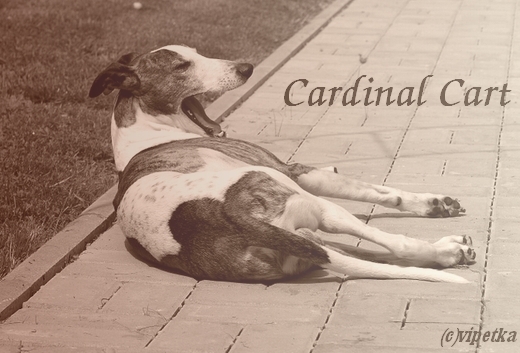 Cardinal Cart.jpg
