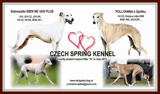 Czech Spring 2.jpg