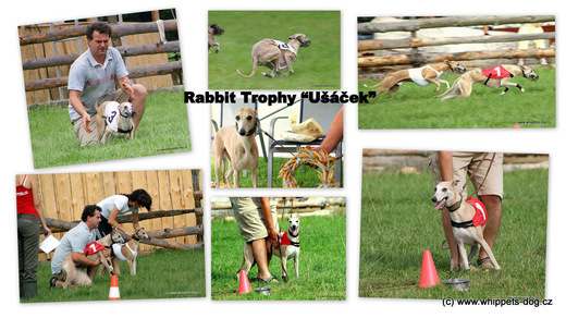 Rabbit trophy Ušáček.jpg